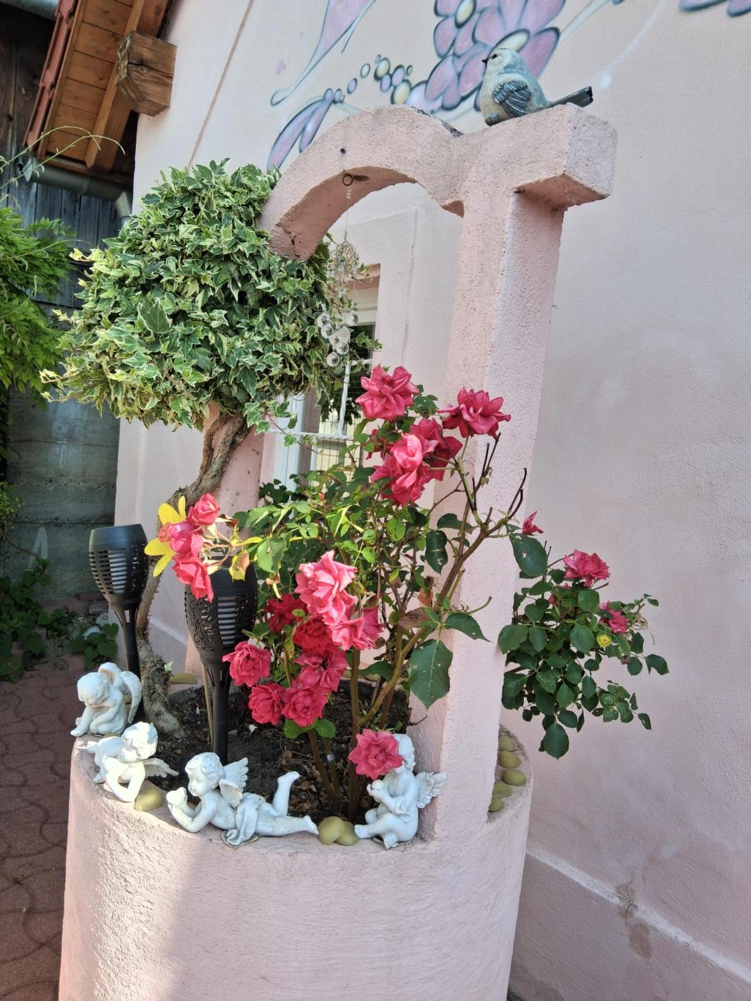 Ferienhaus Olympe Dessenheim